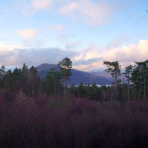 本洛蒙德山